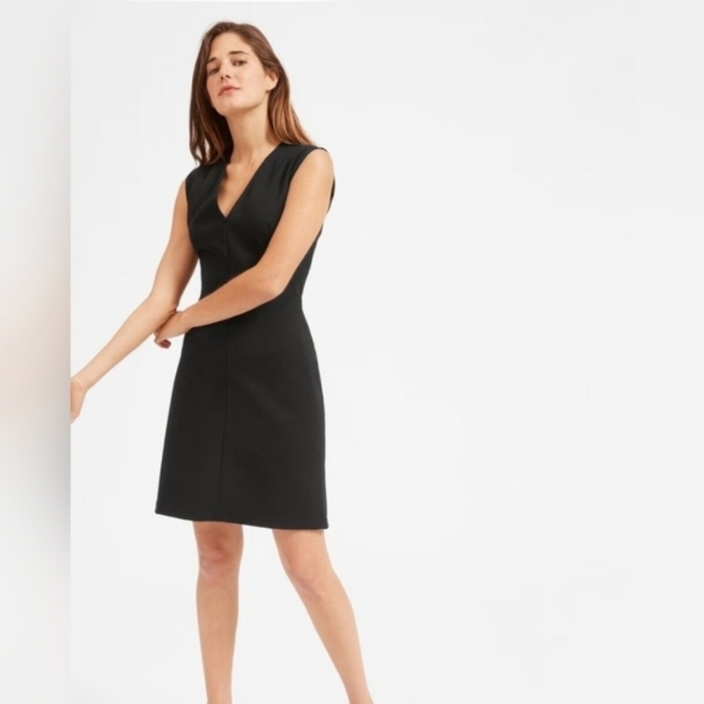 Everlane Black Sleeveless V-Neck Fit & Flare Dress A-Line Stretch Classic Sz 6 - Picture 15 of 15